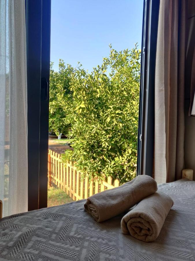 Gaia Tiny Houses Butik Hotel Bodrum Eksteriør bilde