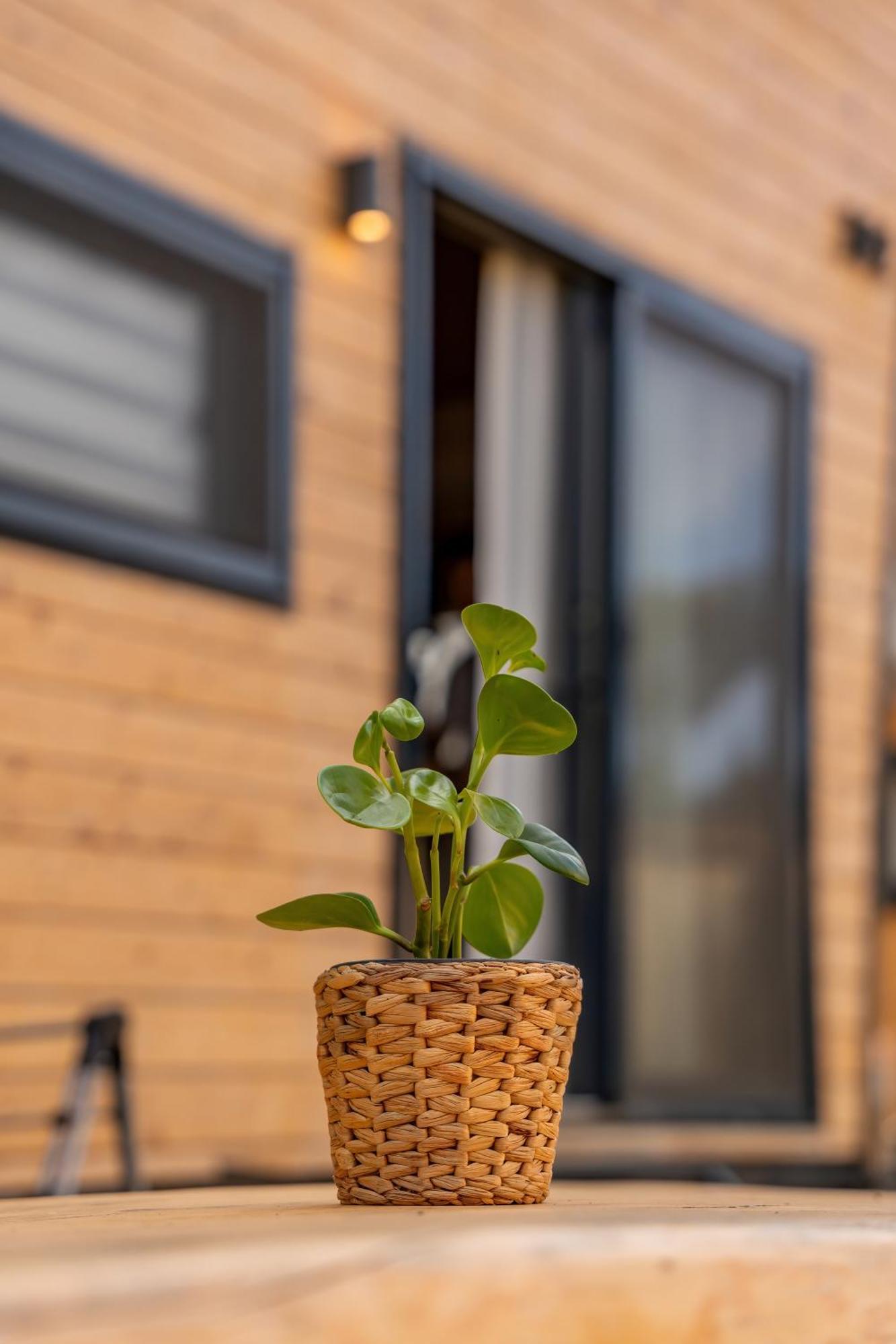 Gaia Tiny Houses Butik Hotel Bodrum Eksteriør bilde