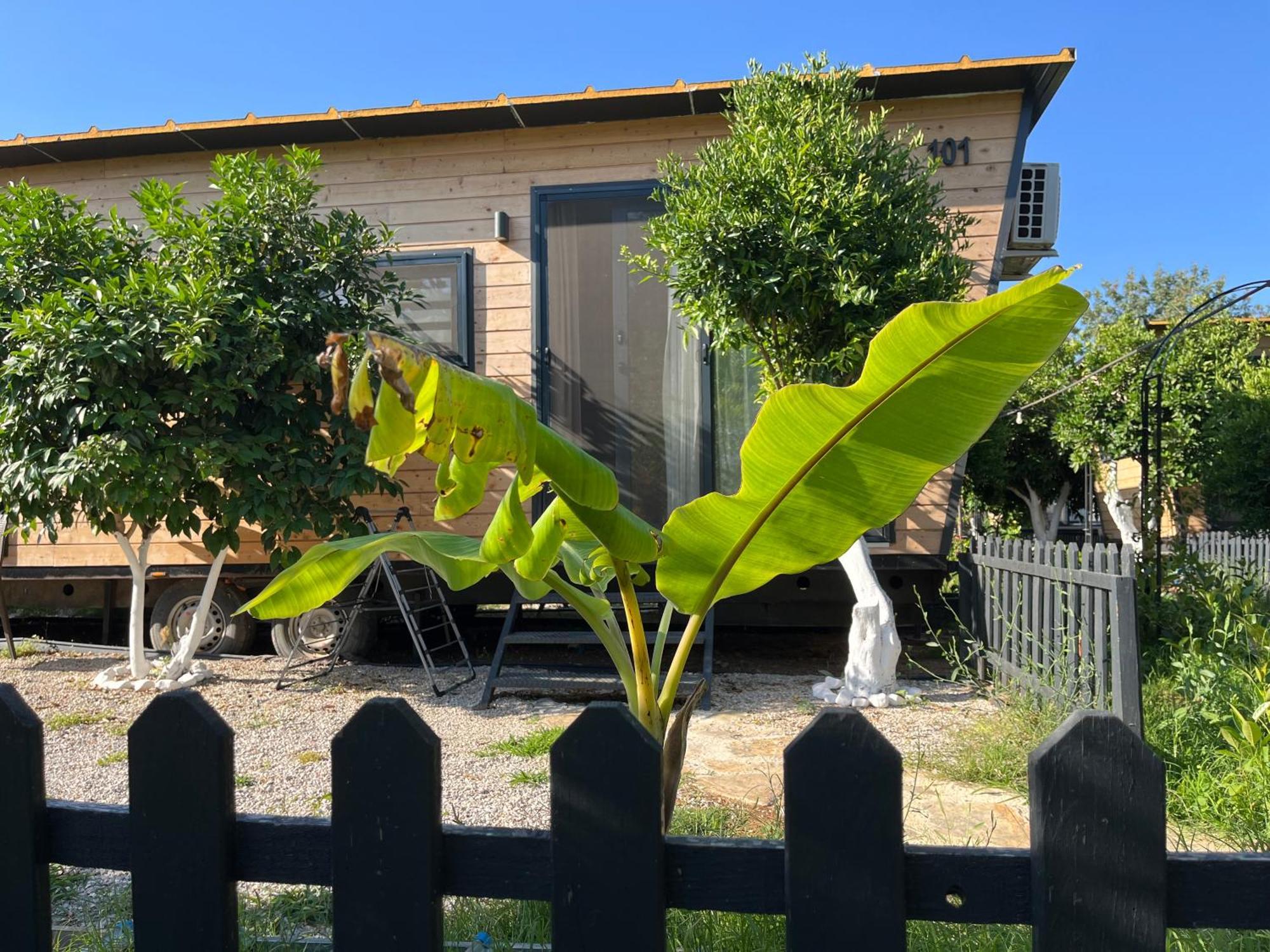 Gaia Tiny Houses Butik Hotel Bodrum Eksteriør bilde